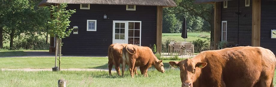 biologische boerderij Erve Woolderink